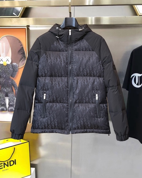 Dior Down jacket-8